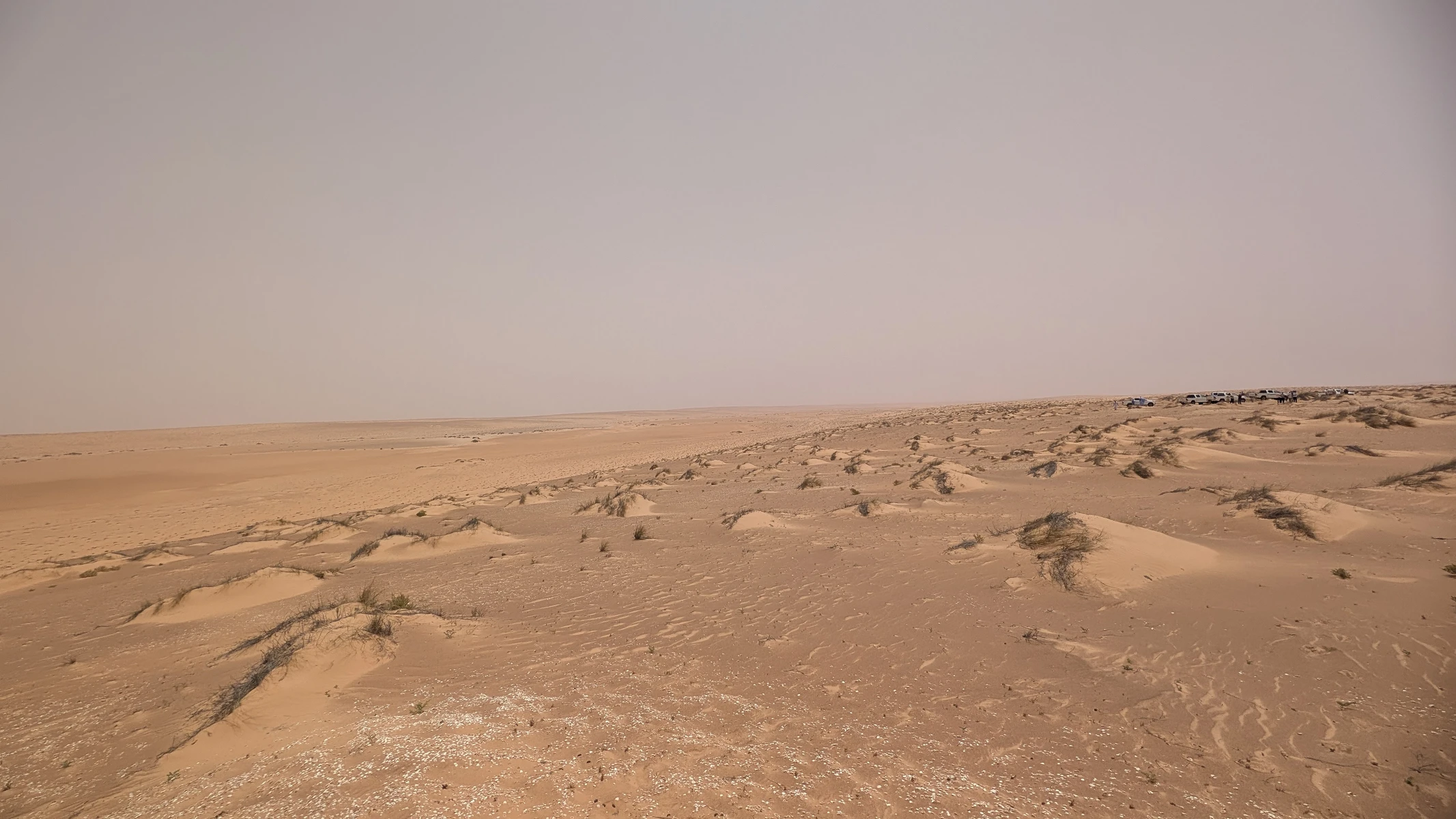 The SAREP project site in the Sahara