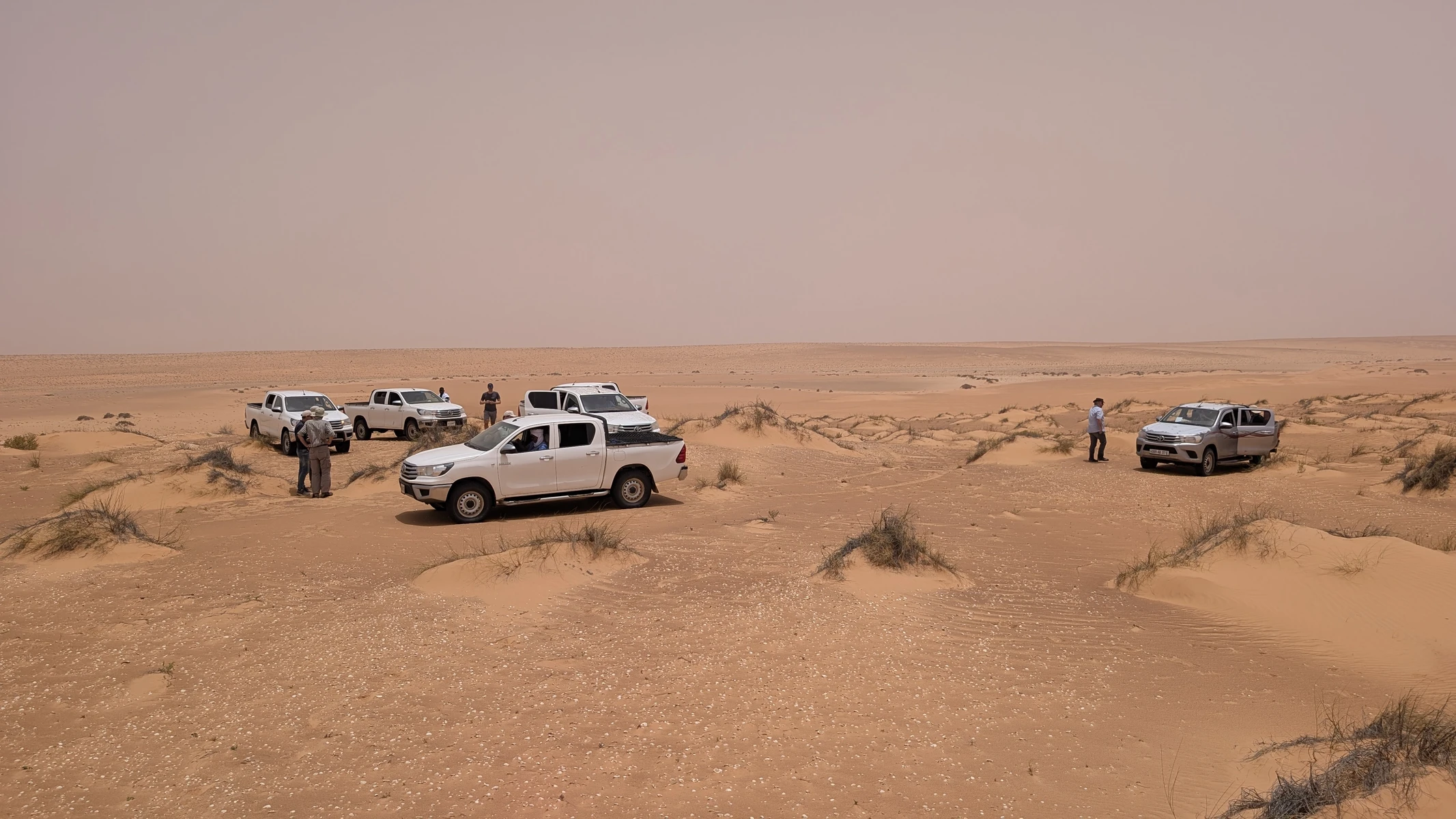 Field visit to the SAREP project area